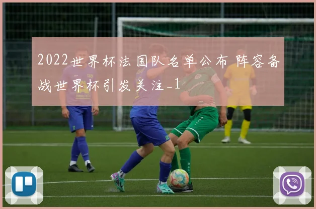 2022世界杯法国队名单公布 阵容备战世界杯引发关注_1