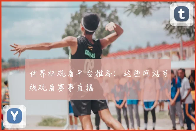 世界杯观看平台推荐：这些网站可线观看赛事直播